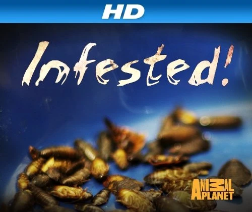 Вторжение паразитов (2011) онлайн бесплатно