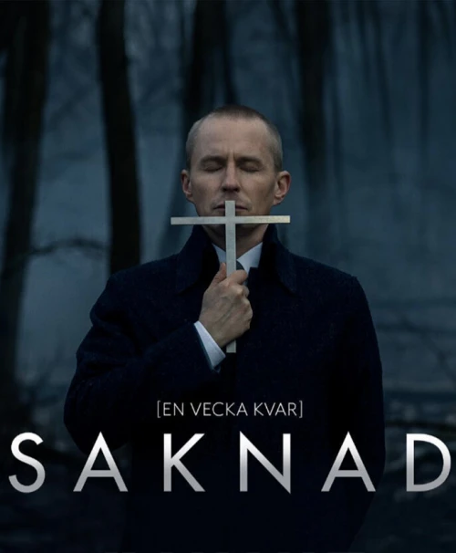 Пропавшая (2017) онлайн бесплатно