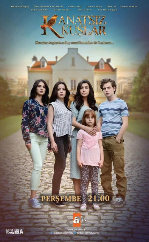 Птицы без крыльев (2017) онлайн бесплатно